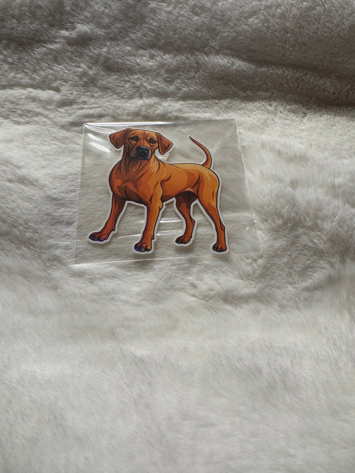 Vinyl waterproof sticker
