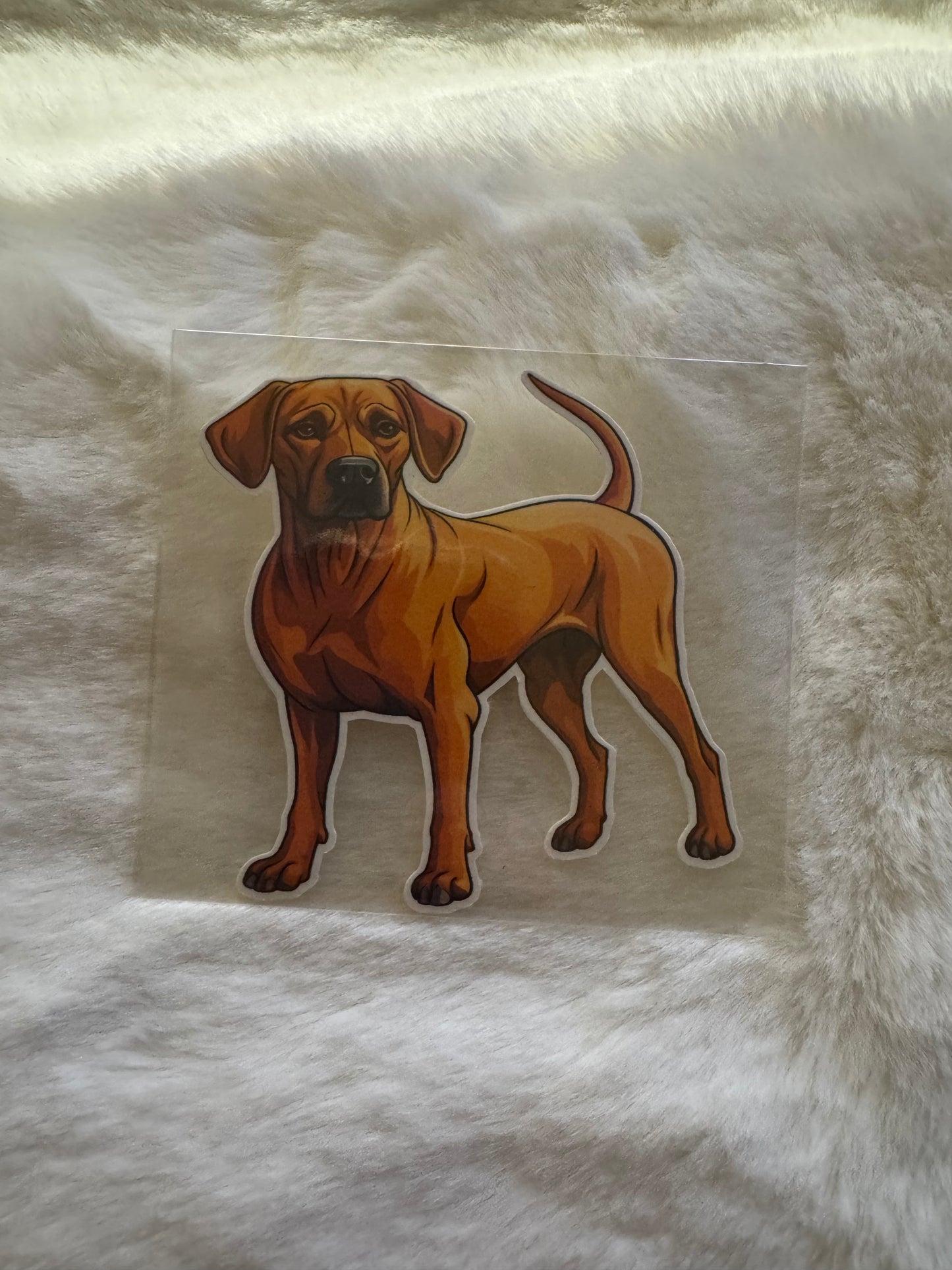 Vinyl waterproof sticker
